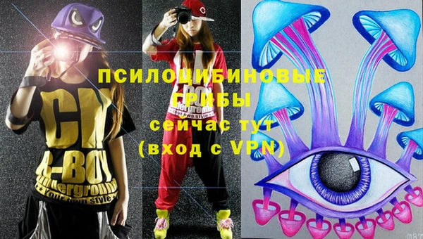 apvp Абинск