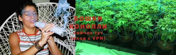spice Алексеевка