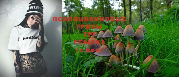 ешки Алзамай