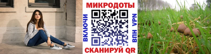 Псилоцибиновые грибы мухоморы  даркнет сайт  Лысково 